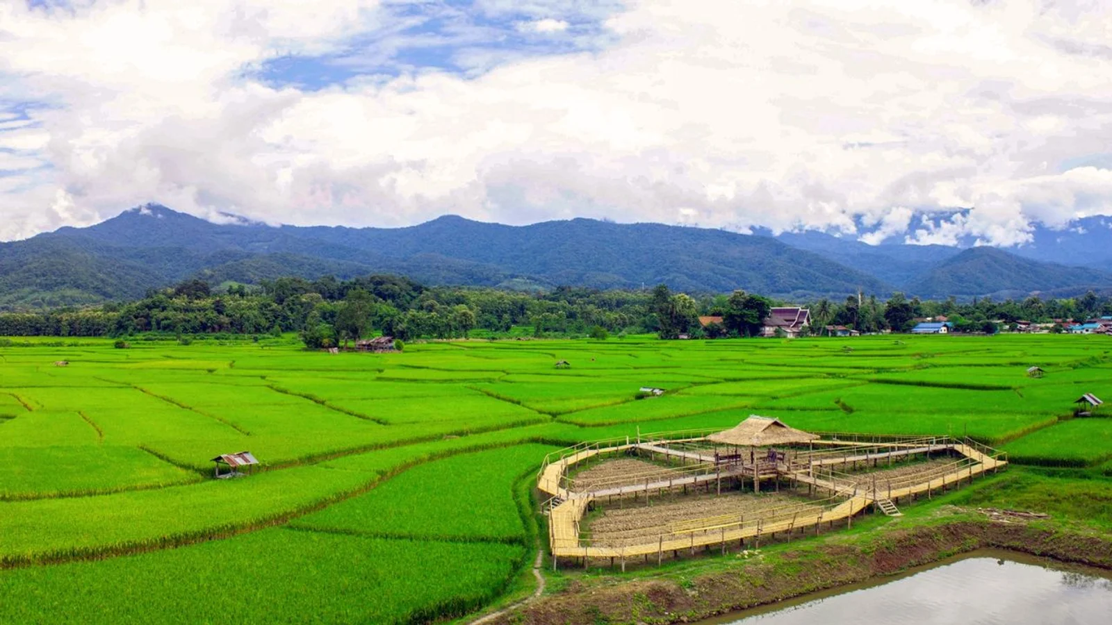 Découvrez la Province de Nan : L'âme Secrète du Nord de la Thaïlande