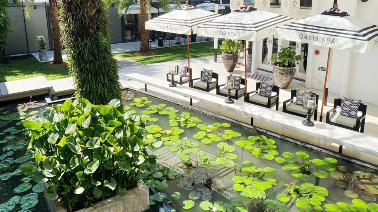 Top 10 Best Spas in Bangkok in 2025: Wellness & Thai Traditions